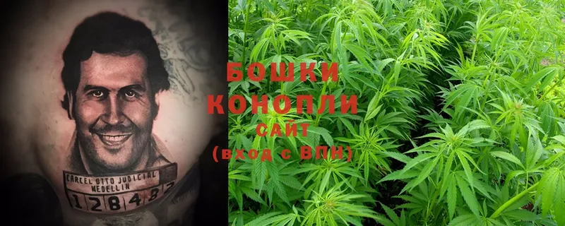 Каннабис Ganja  Бавлы 